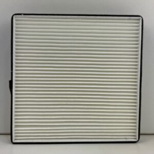 Alternative view of DELCO.10389 FILTRO DE AIRE ACONDICIONADO - DFSK