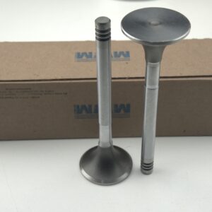 DELCO.20000 VALVULA DE ESCAPE - MWM