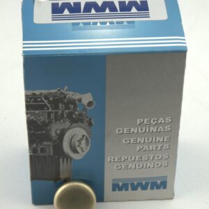 DELCO.20173 TAPON DE CULATA - 22 mm - MWM 229.3TCE