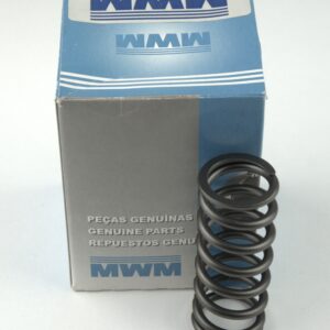 DELCO.20213 RESORTE DE VALVULA INTERNA - MWM